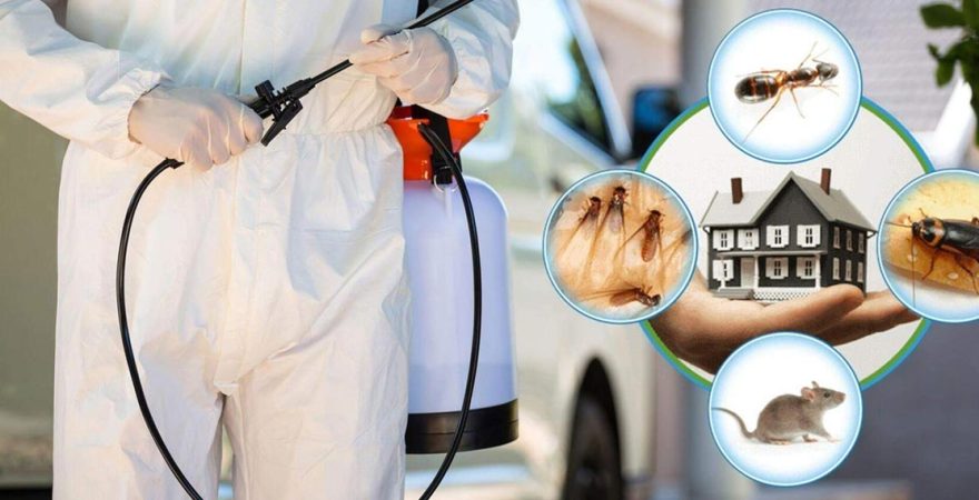 Aydıncık Böcek İlaçlama