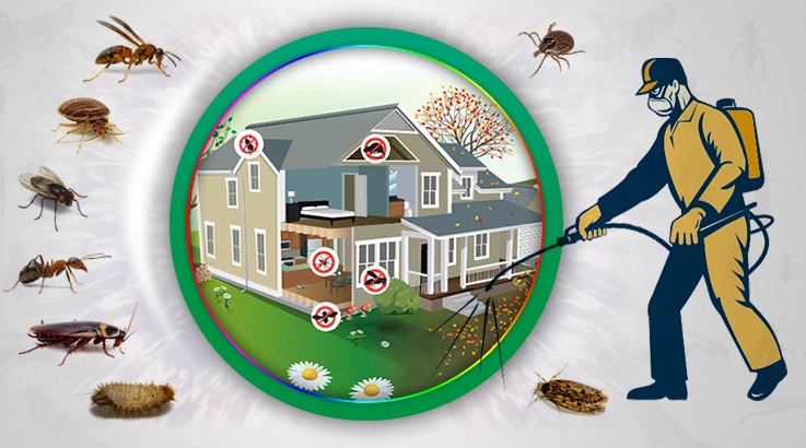 Aydıncık Böcek İlaçlama