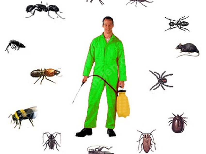 Aydıncık Böcek İlaçlama